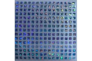 225 Buegelpailletten 3mm x 3mm  hologramm hellblau
